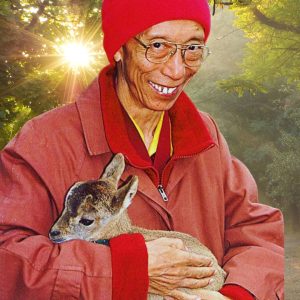 The Power of Compassion - Retreat - Sat 9 Mar